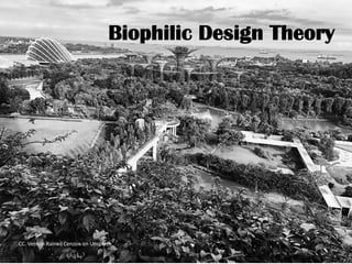 Biophilic Design Theory
CC. Vernon Raineil Cenzon on Unsplash
 