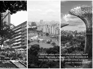 Biophilic urban renewal in downtown Seoul, South
Korea. Previously a highway, the 10.9 kilometre (6.8
mile) long Cheonggyecheon stream is now a popular
public recreation space.
Nux (Flickr, CC BY SA-2.0)
 