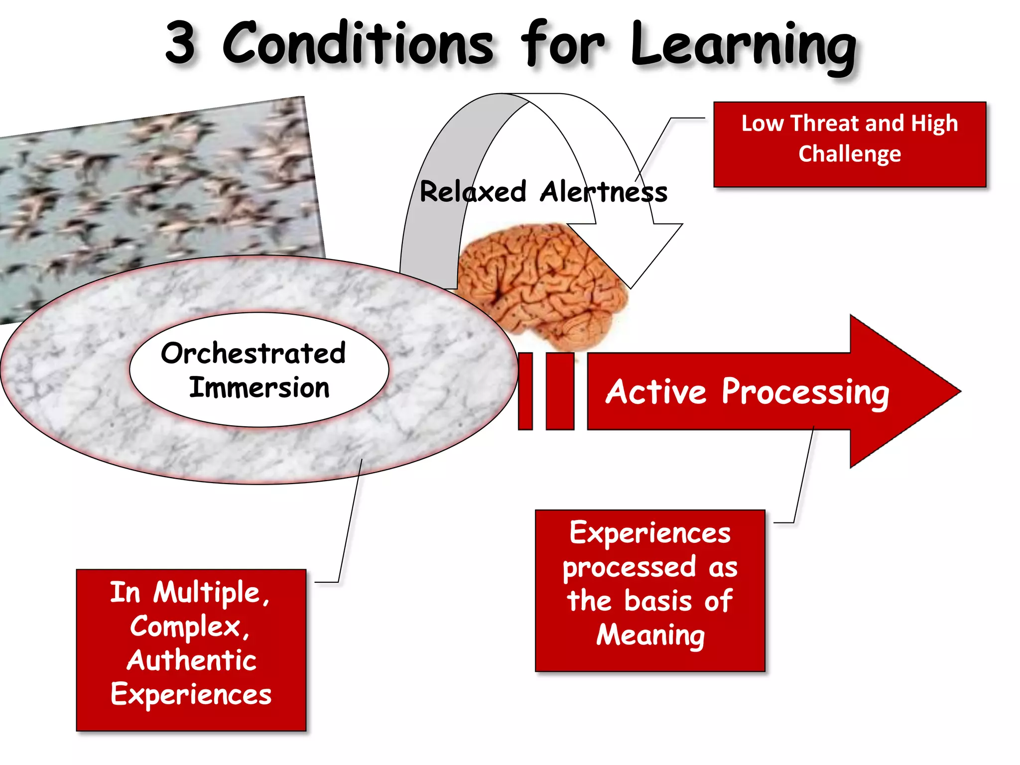 3 Conditions for Learning
                                          Low Threat and High
                                               Challenge
                  Relaxed Alertness




   Orchestrated
    Immersion                 Active Processing



                           Experiences
                           processed as
In Multiple,               the basis of
 Complex,                    Meaning
 Authentic
Experiences
 