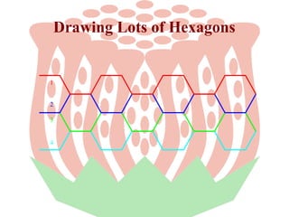 Drawing Lots of Hexagons

1
2
3
4

 