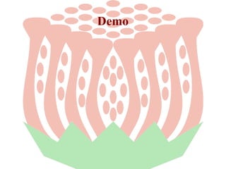 Demo

 