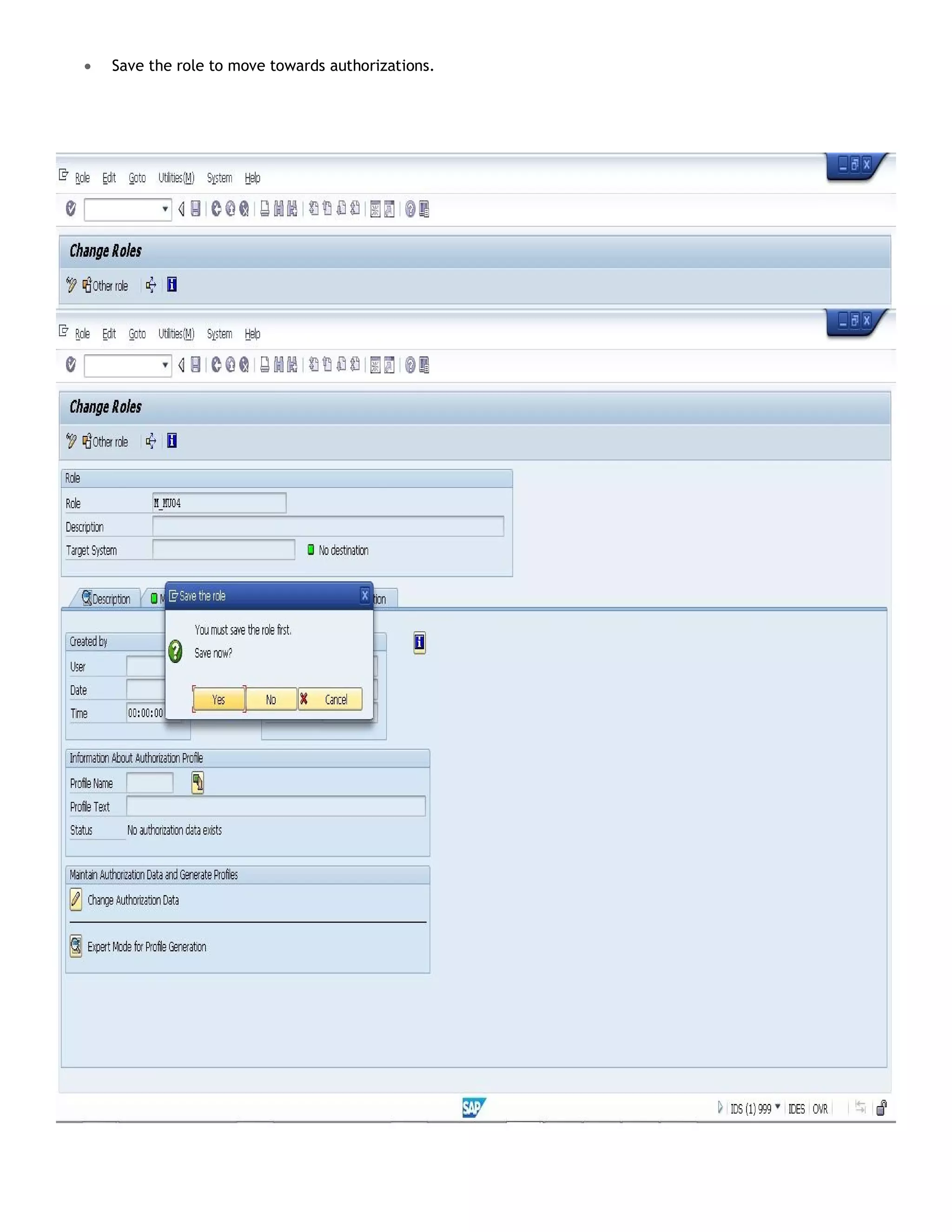  Save the role to move towards authorizations.
 