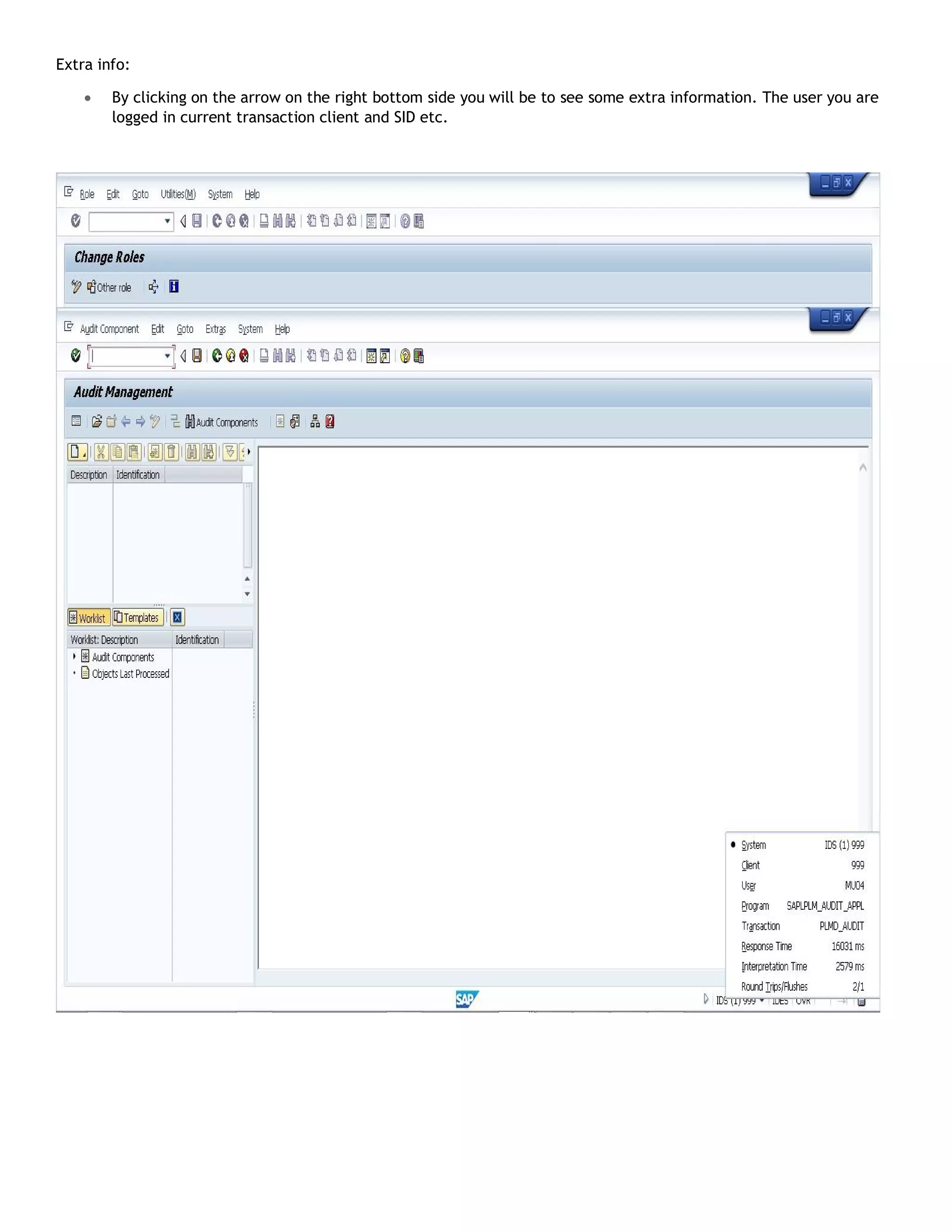 Extra info:
 By clicking on the arrow on the right bottom side you will be to see some extra information. The user you are
logged in current transaction client and SID etc.
 
