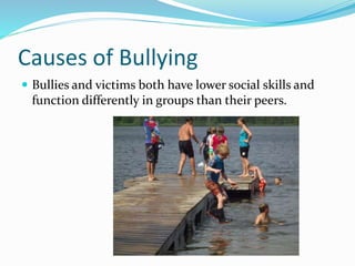Causes of Bullying 
 Bullies and victims both have lower social skills and 
function differently in groups than their peers. 
 