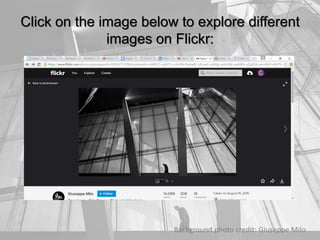 Click on the image below to explore different
images on Flickr:
Background photo credit: Giuseppe Milo
 