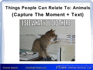 Things People Can Relate To: Animals
  (Capture The Moment + Text)
 