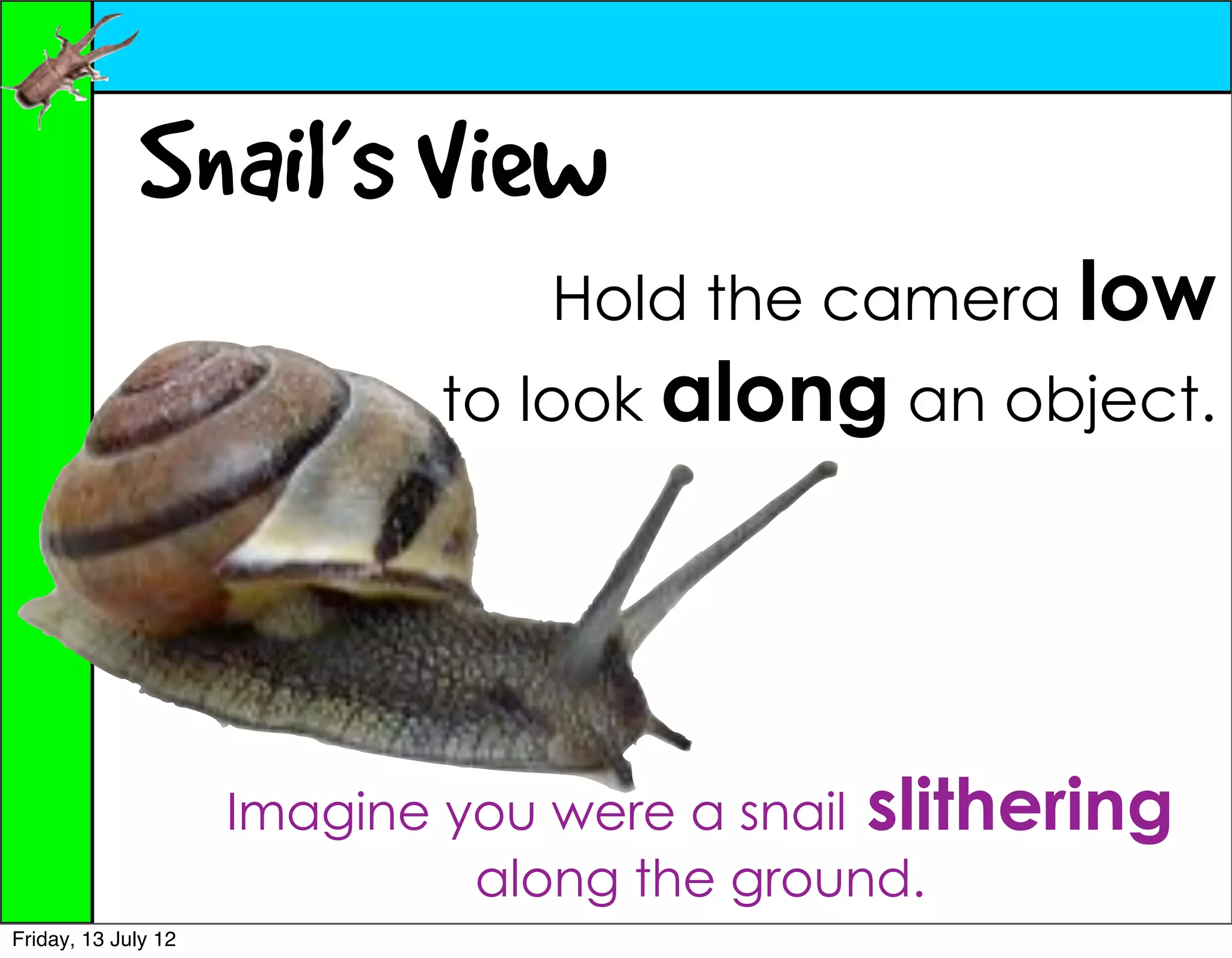Snail’s View
                                 Hold the camera low
                            to look along an object.




                     Imagine you were a snail slithering
                              along the ground.
Friday, 13 July 12
 