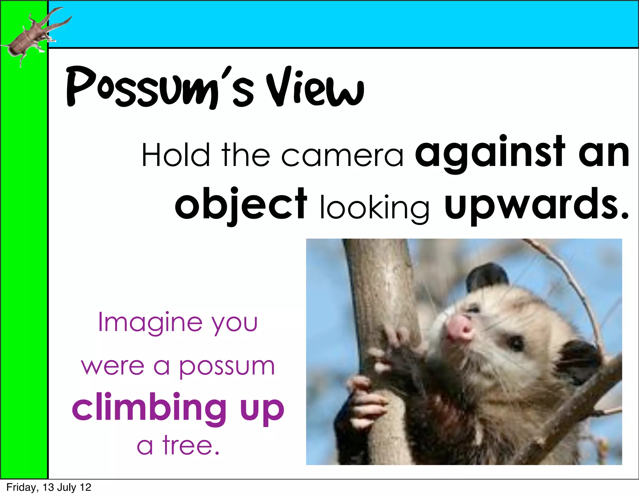 Possum’s View
                       Hold the camera againstan
                          object looking upwards.

                     Imagine you
               were a possum
             climbing up
                       a tree.
Friday, 13 July 12
 