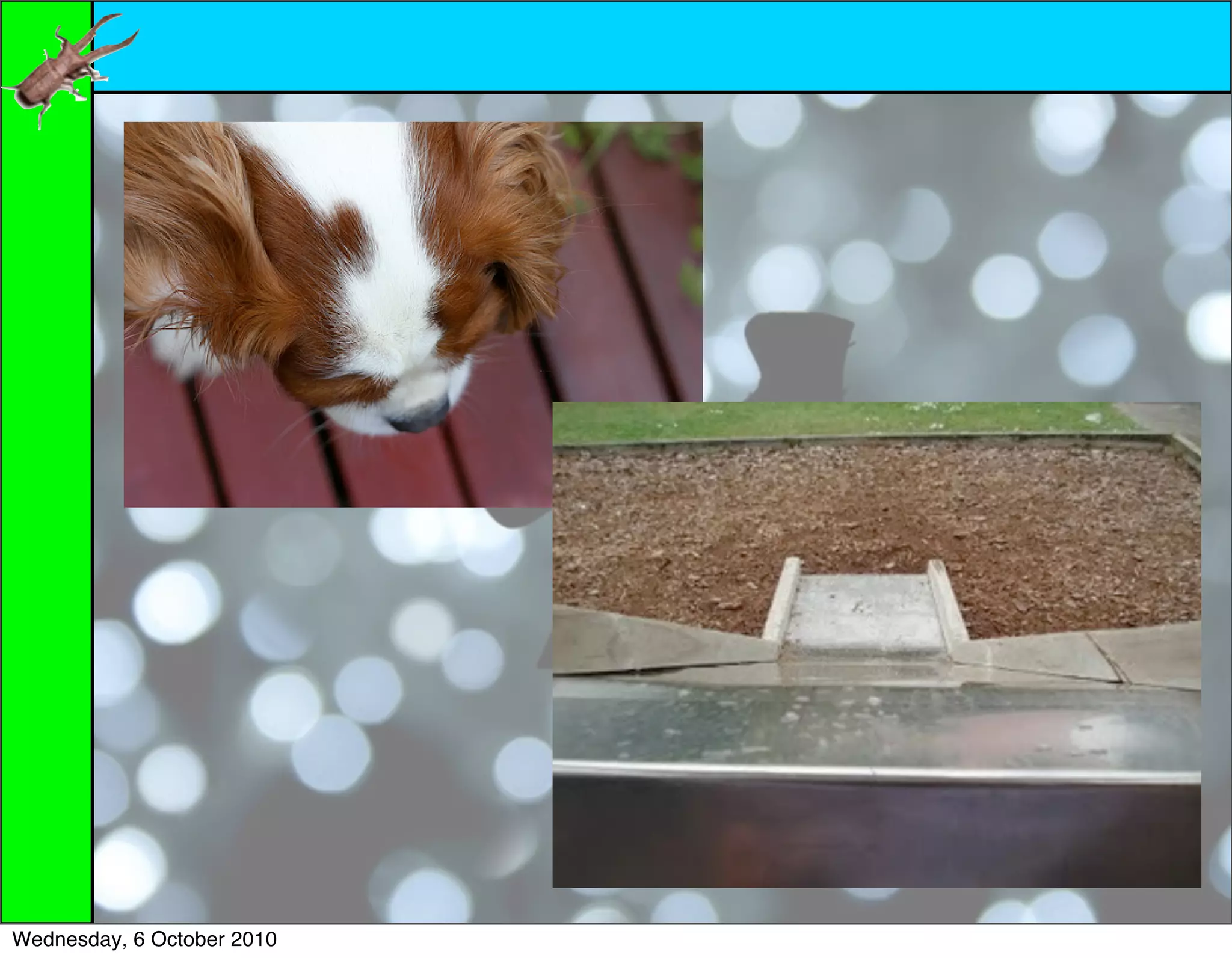 Wednesday, 6 October 2010
 