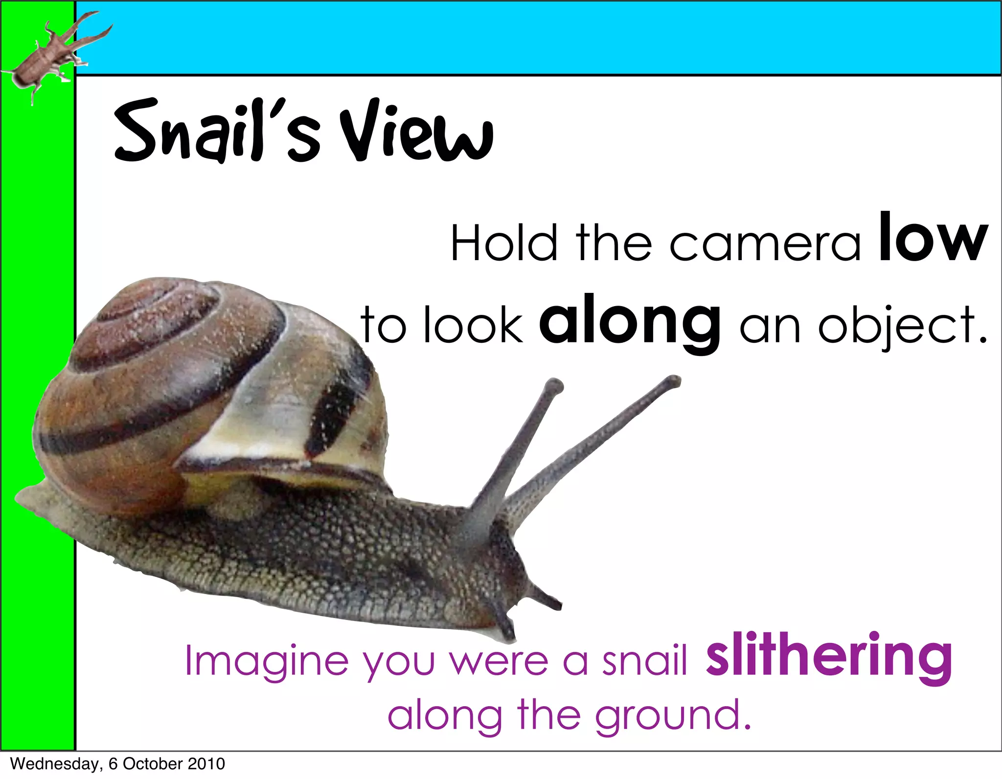 Snail’s View
                                Hold the camera low
                            to look along an object.




                    Imagine you were a snail slithering
                             along the ground.
Wednesday, 6 October 2010
 