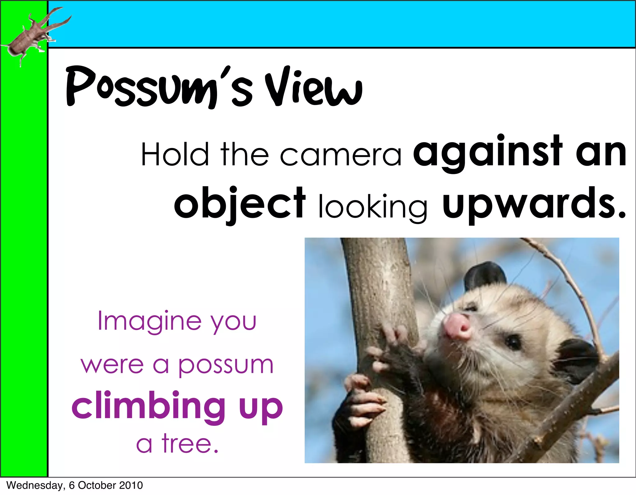 Possum’s View
                        Hold the camera against an
                            object looking upwards.

                Imagine you
             were a possum
           climbing up
                       a tree.
Wednesday, 6 October 2010
 