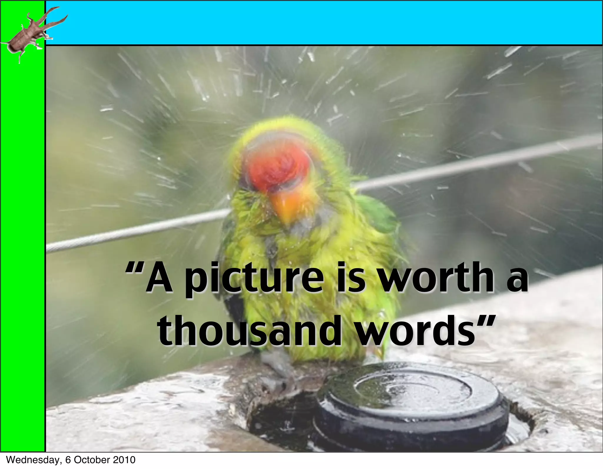 “A picture is worth a
                       thousand words”

Wednesday, 6 October 2010
 