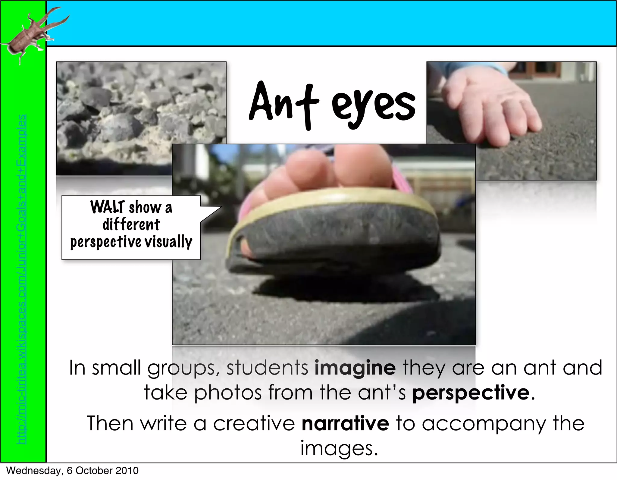 Ant eyes
 http://mic-tiritea.wikispaces.com/Junior+Goals+and+Examples




                                                                  WALT show a
                                                                    different
                                                               perspective visually




                                                               In small groups, students imagine they are an ant and
                                                                       take photos from the ant’s perspective.
                                                                 Then write a creative narrative to accompany the
                                                                                       images.
Wednesday, 6 October 2010
 