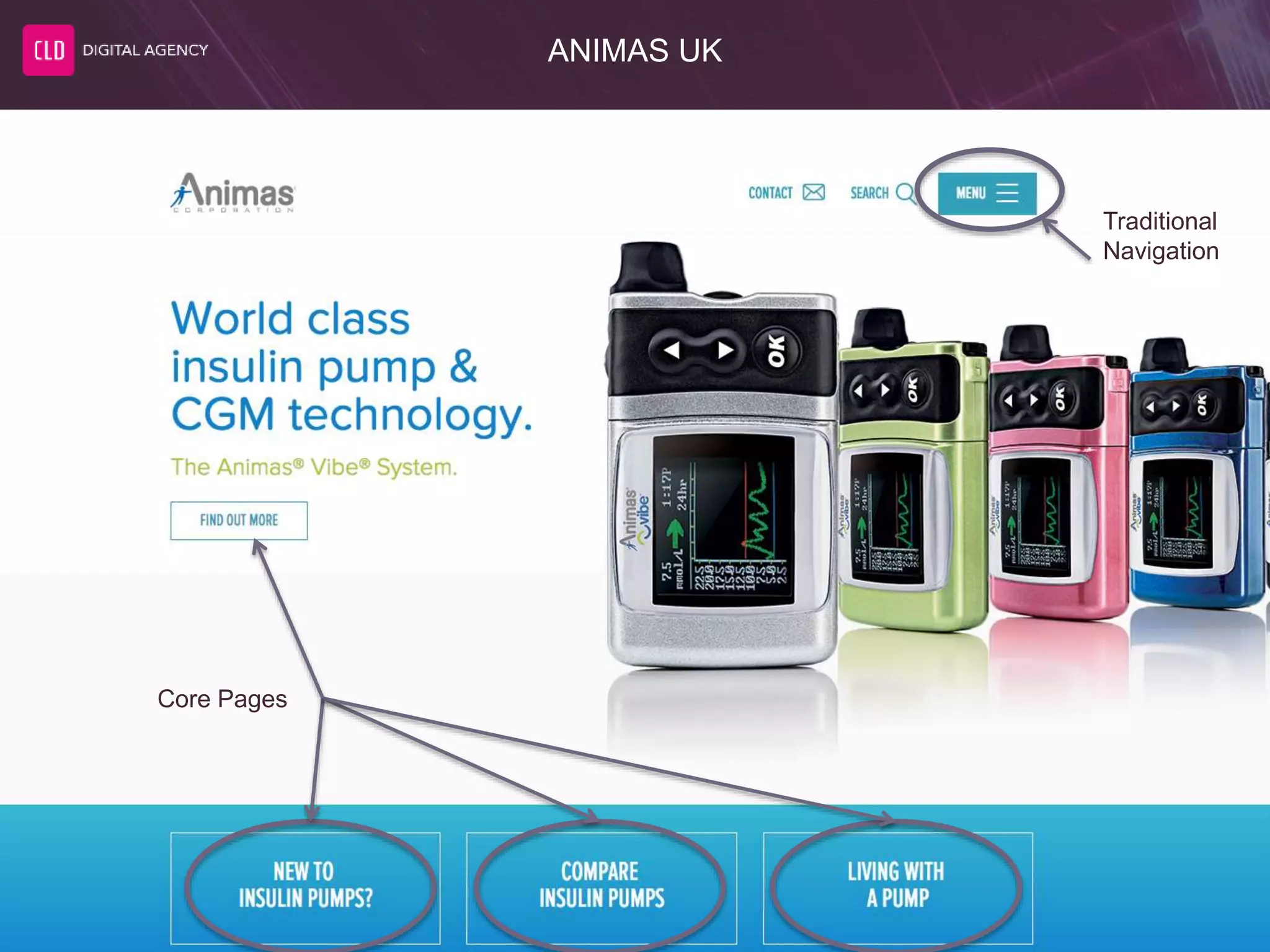 ANIMAS UK
Traditional
Navigation
Core Pages
 