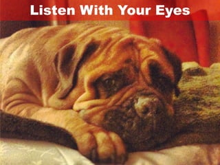 Listen With Your Eyes
 