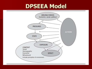 DPSEEA Model
 