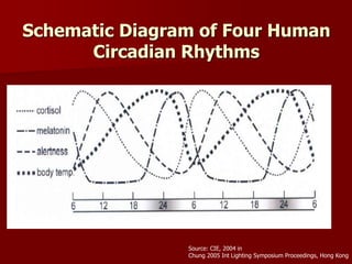 Schematic Diagram of Four Human
Circadian Rhythms
Source: CIE, 2004 in
Chung 2005 Int Lighting Symposium Proceedings, Hong Kong
 
