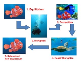 1. Equilibrium
2. Disruption
3. Recognition
4. Repair Disruption
5. Return/start
new equilibrium
 