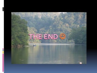 Web SourcesCommon requirements:Author(s) or Editors namesName of database, book, project title, or articleDate of version, revision, or postingPublisher InformationDate you accessed the siteWeb address – all of it!