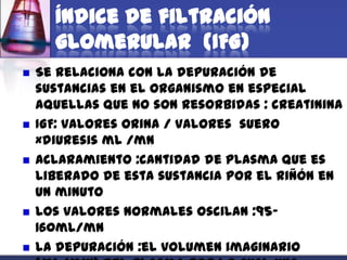 Índice de filtración
      glomerular (IFG)
   Se relaciona con la depuración de
    sustancias en el organismo en especial
    aquellas que no son resorbidas : creatinina
   IGF: valores orina / valores suero
    ×diuresis ml /mn
   Aclaramiento :cantidad de plasma que es
    liberado de esta sustancia por el riñón en
    un minuto
   Los valores normales oscilan :95-
    160ml/mn
   la depuración :el volumen imaginario
 