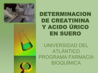 DETERMINACION
DE CREATININA
Y ACIDO ÚRICO
EN SUERO
UNIVERSIDAD DEL
ATLÁNTICO
PROGRAMA FARMACIA
BIOQUÍMICA
 