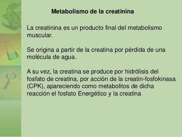 Una palabra: dieta del metabolismo acelerado antes y despues