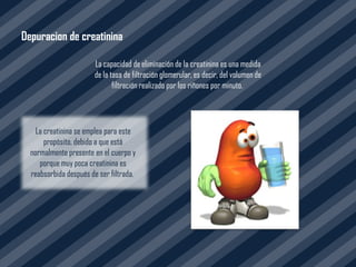 Depuracion de creatinina

                       La capacidad de eliminación de la creatinina es una medida
                       de la tasa de filtración glomerular, es decir, del volumen de
                              filtración realizado por los riñones por minuto.




    La creatinina se emplea para este
       propósito, debido a que está
  normalmente presente en el cuerpo y
     porque muy poca creatinina es
  reabsorbida después de ser filtrada.
 