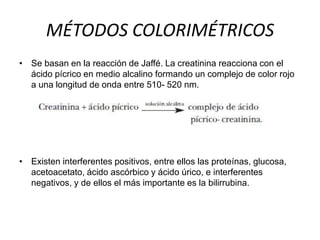 MÉTODOS COLORIMÉTRICOS
• Se basan en la reacción de Jaffé. La creatinina reacciona con el
  ácido pícrico en medio alcalino formando un complejo de color rojo
  a una longitud de onda entre 510- 520 nm.




• Existen interferentes positivos, entre ellos las proteínas, glucosa,
  acetoacetato, ácido ascórbico y ácido úrico, e interferentes
  negativos, y de ellos el más importante es la bilirrubina.
 