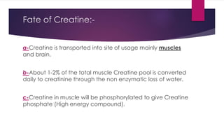 Fate of Creatine:-
a-Creatine is transported into site of usage mainly muscles
and brain.
b-About 1-2% of the total muscle Creatine pool is converted
daily to creatinine through the non enzymatic loss of water.
c-Creatine in muscle will be phosphorylated to give Creatine
phosphate (High energy compound).
 