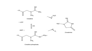 CREATININE DETERMINATION and Interpretation.pptx