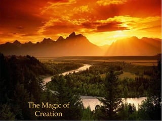 The Magic of
Creation
 