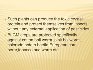 Creation of Bt plants | PPTX