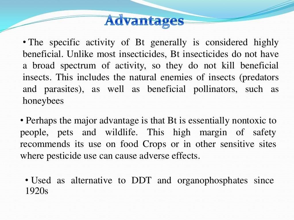 Creation of Bt plants