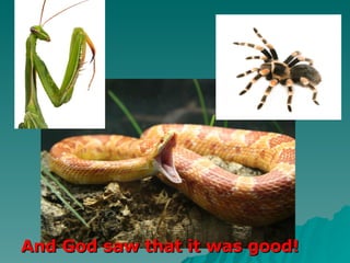 And God saw that it was good! 