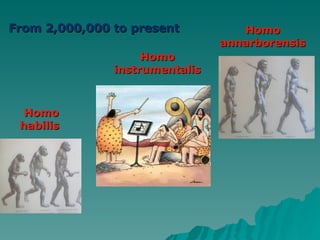 From 2,000,000 to present Homo annarborensis Homo habilis   Homo instrumentalis 