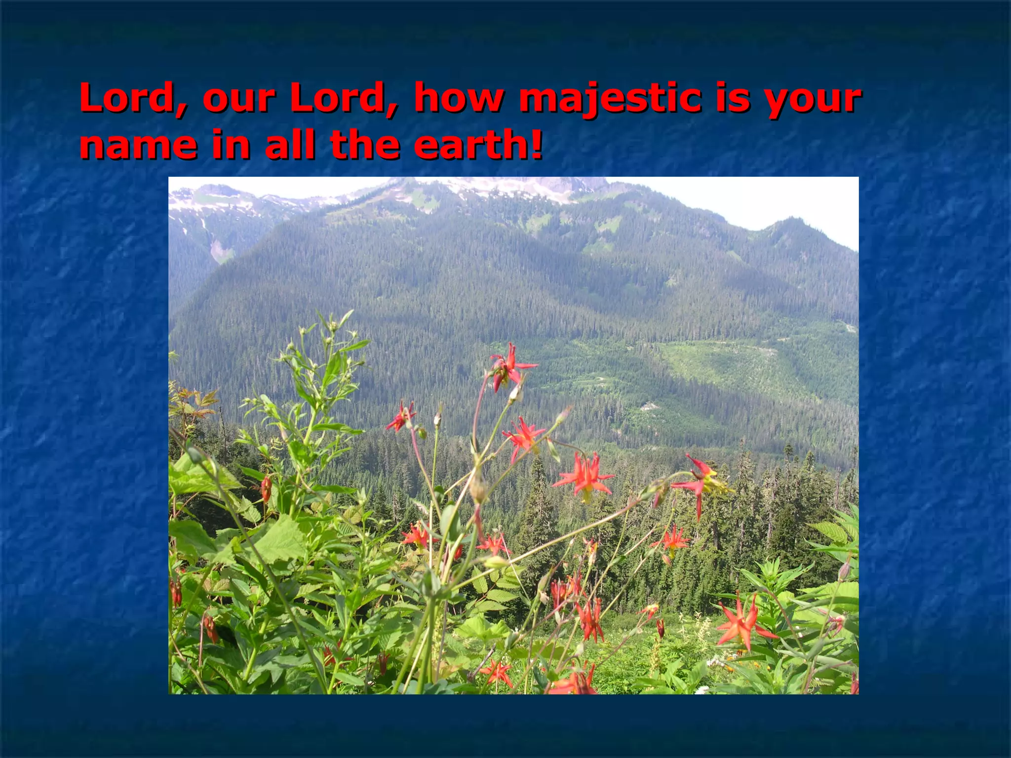 Lord, our Lord, how majestic is your name in all the earth! 