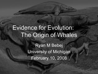 Evidence for Evolution:  The Origin of Whales Ryan M Bebej University of Michigan February 10, 2008 