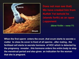 Sperm                    Does not man see that)
                                    We have created him from
                                    Nutfah Yet behold he
                                    (stands forth) as an open
                                    (.opponent
                                            (Sûrat Yâ-Sîn – verse 77)

                          Ovum


When the first sperm enters the ovum ,that ovum starts to secrete a
matter to close its cover in front of all sperms . after mating , the
fertilized cell starts to secrete hormone of HCC which is detected by
the pregnancy revealer , this hormone orders the entire body to stop
the menstrual period and also gives an indication for the woman
that she is pregnant.
 