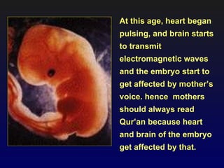 At this age, heart began
pulsing, and brain starts
to transmit
electromagnetic waves
and the embryo start to
get affected by mother’s
voice. hence mothers
should always read
Qur’an because heart
and brain of the embryo
get affected by that.
 