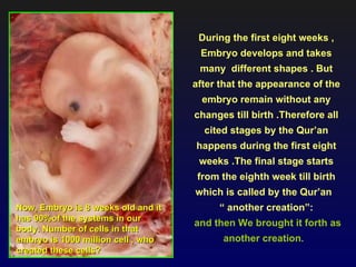 During the first eight weeks ,
                                     Embryo develops and takes
                                     many different shapes . But
                                    after that the appearance of the
                                      embryo remain without any
                                    changes till birth .Therefore all
                                      cited stages by the Qur’an
                                    happens during the first eight
                                     weeks .The final stage starts
                                     from the eighth week till birth
                                    which is called by the Qur’an
Now, Embryo is 8 weeks old and it        “ another creation”:
has 90%of the systems in our
                                    and then We brought it forth as
body. Number of cells in that
embryo is 1000 million cell , who         another creation.
created these cells?
 