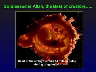 So Blessed is Allah, the Best of creators…..




       Heart of the embryo strikes 54 million pulse
                    during pregnancy!
 