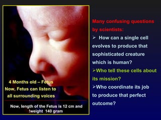 Many confusing questions
                                          by scientists:
                                           How can a single cell
                                          evolves to produce that
                                          sophisticated creature
                                          which is human?
                                          Who tell these cells about
                                          its mission?
 4 Months old – Fetus
Now, Fetus can listen to                  Who coordinate its job
 all surrounding voices                   to produce that perfect
                                          outcome?
  Now, length of the Fetus is 12 cm and
           !weight 140 gram
 
