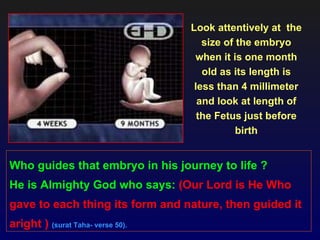 Look attentively at the
                                      size of the embryo
                                    when it is one month
                                      old as its length is
                                    less than 4 millimeter
                                     and look at length of
                                     the Fetus just before
                                              birth


Who guides that embryo in his journey to life ?
He is Almighty God who says: (Our Lord is He Who
gave to each thing its form and nature, then guided it
aright ) (surat Taha- verse 50).
 