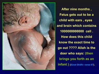 After nine months ,
 Fetus gets out to be a
 child with ears , eyes
and brain which contains
  1000000000000 cell .
  How does this child
 know the exact time to
go out ???? Allah is the
  doer who says: (then
 brings you forth as an
infant ) (Sûrat Ghâfir- verse 67).
 