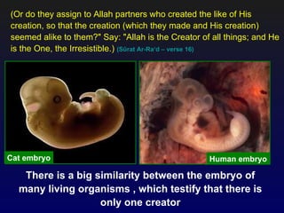 (Or do they assign to Allah partners who created the like of His
creation, so that the creation (which they made and His creation)
seemed alike to them?" Say: "Allah is the Creator of all things; and He
is the One, the Irresistible.) (Sûrat Ar-Ra‘d – verse 16)




Cat embryo                                          Human embryo

   There is a big similarity between the embryo of
  many living organisms , which testify that there is
                   only one creator
 
