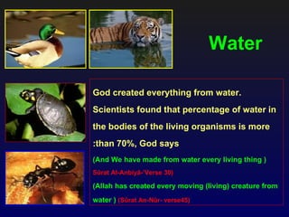 Water

God created everything from water.
Scientists found that percentage of water in
the bodies of the living organisms is more
:than 70%, God says
(And We have made from water every living thing )
Sûrat Al-Anbiyâ-’Verse 30)

(Allah has created every moving (living) creature from
water ) (Sûrat An-Nûr- verse45)
 
