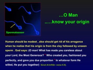 …O Man
                                     ..…know your origin

Spermatozoon


Human should be modest , also should get rid of his arrogance
when he realize that his origin is from the clay followed by unseen
sperm . God says: (O man! What has made you careless about
your Lord, the Most Generous? * Who created you, fashioned you
perfectly, and gave you due proportion * In whatever form He
willed, He put you together) Sûrat Al-Infitâr- verse 6:8).
 