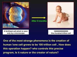 After 9 months



A fertilized cell which is seen                      100000000000000
    only by a microscope                           One hundred trillion cell



One of the most strange phenomena is the creation of
human !one cell grows to be 100 trillion cell , How does
this operation happen? who controls this precise
program, Is it nature or the creator of nature?
 