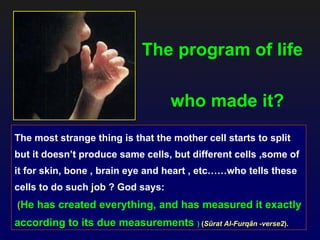The program of life

                                   who made it?
The most strange thing is that the mother cell starts to split
but it doesn’t produce same cells, but different cells ,some of
it for skin, bone , brain eye and heart , etc……who tells these
cells to do such job ? God says:
(He has created everything, and has measured it exactly
according to its due measurements ) (Sûrat Al-Furqân -verse2).
 