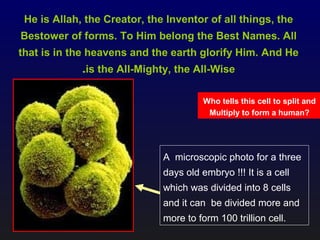 A microscopic photo for a three
days old embryo !!! It is a cell
which was divided into 8 cells
and it can be divided more and
more to form 100 trillion cell.
He is Allah, the Creator, the Inventor of all things, the
Bestower of forms. To Him belong the Best Names. All
that is in the heavens and the earth glorify Him. And He
is the All-Mighty, the All-Wise.
Who tells this cell to split and
Multiply to form a human?
 